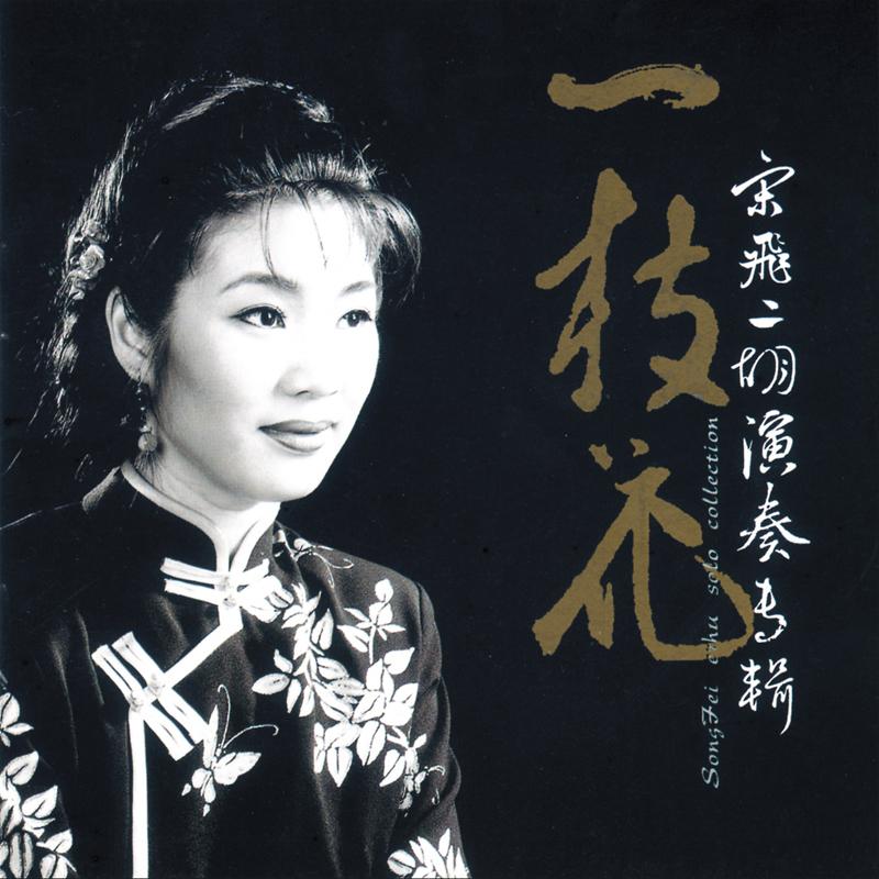 一枝花 二胡名曲欣赏